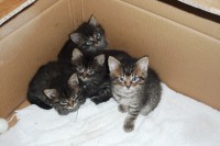 /album/nasi-pacienti/kopie-p1090339-jpg/